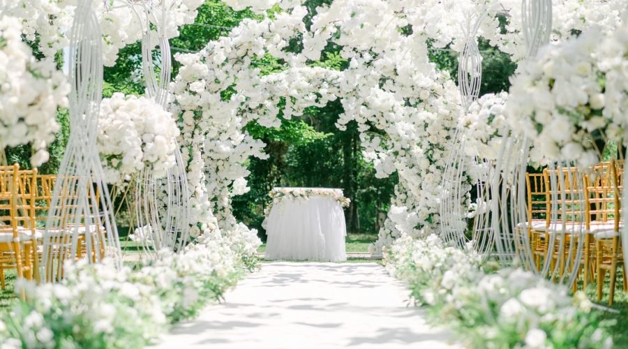 The Calla Collection Flowers